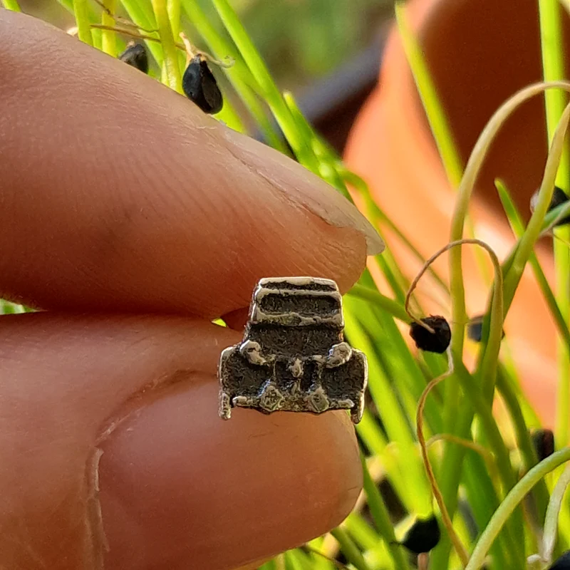 2cv front earstuds