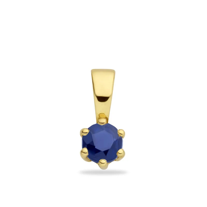 9k Geboortesteen Coin Ketting - Gepersonaliseerde Ketting - 16mm