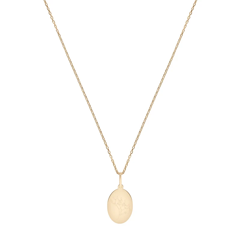 Dezember Mistel Geburtsblumen Halskette - 14 K Massivgold