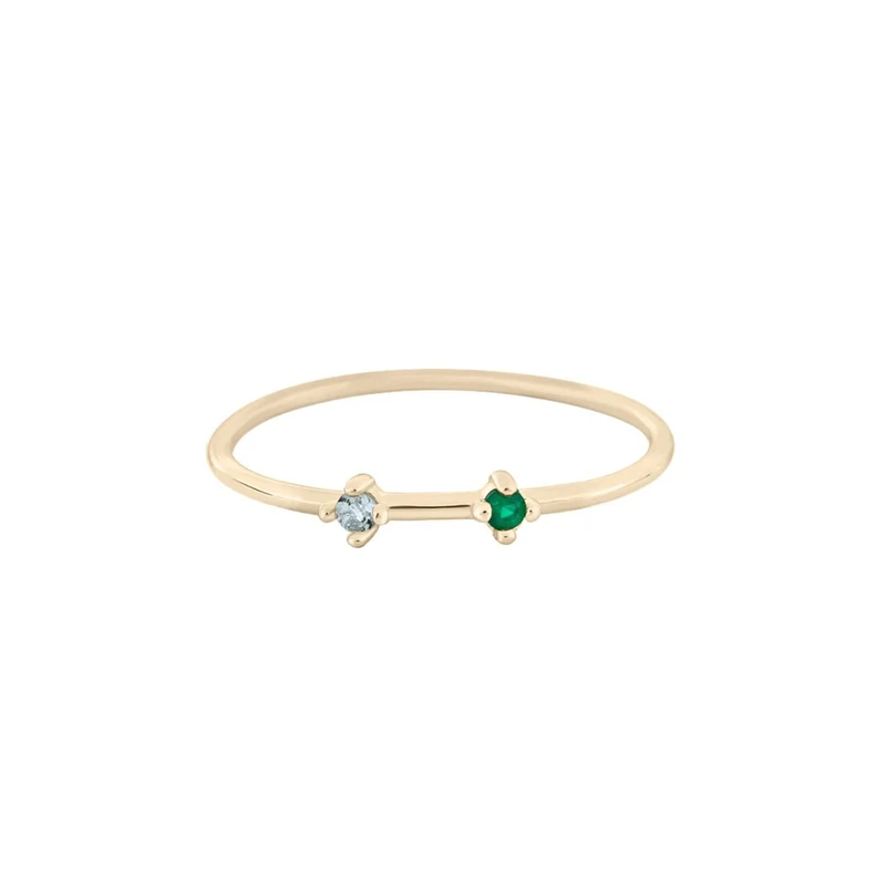 Familien Geburtsedelstein Ring - 2 Steine - 14 K Massivgold