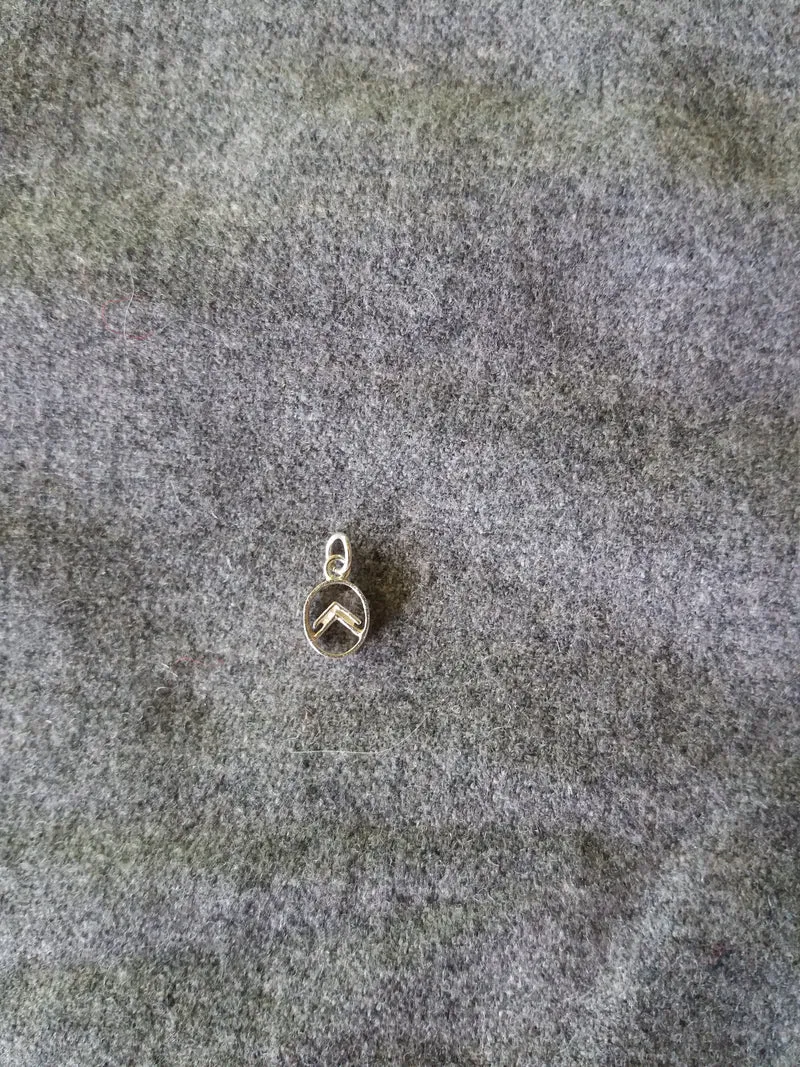 Logo ancien pendant