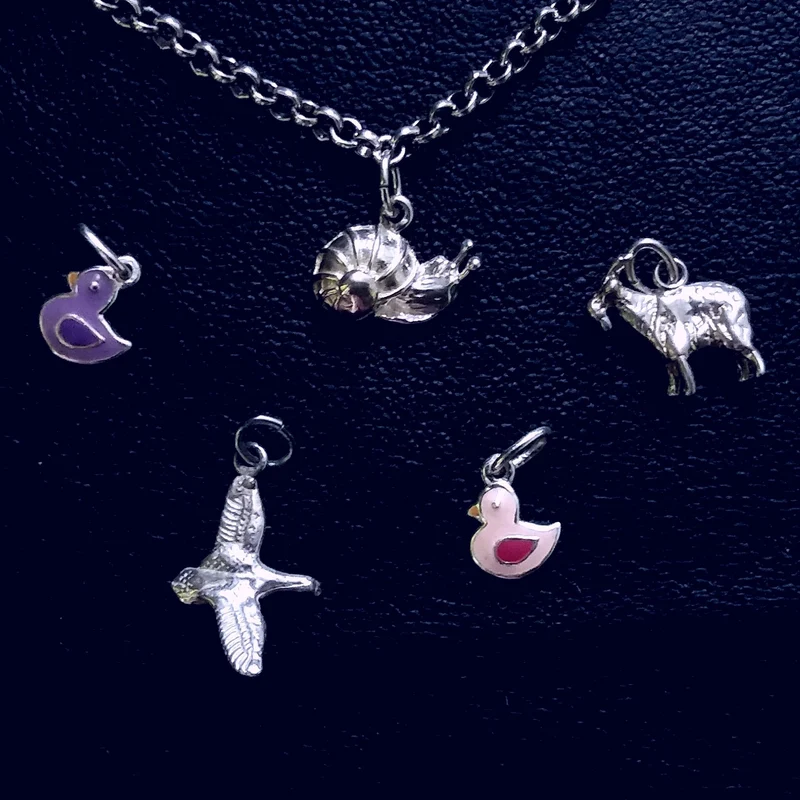 Charms for bracelet or necklace