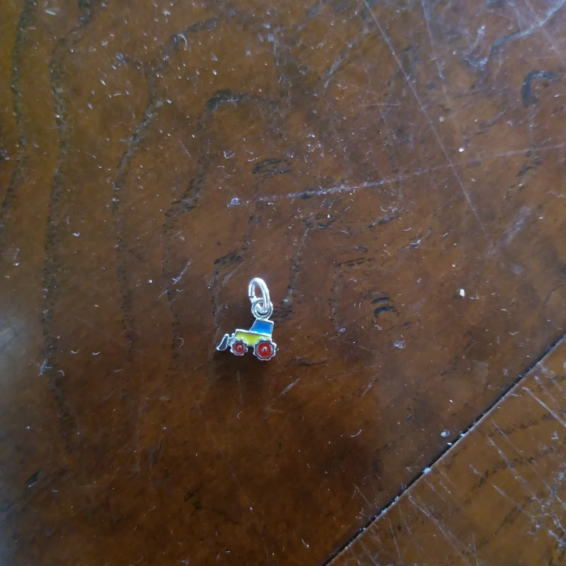 Charms for bracelet or necklace