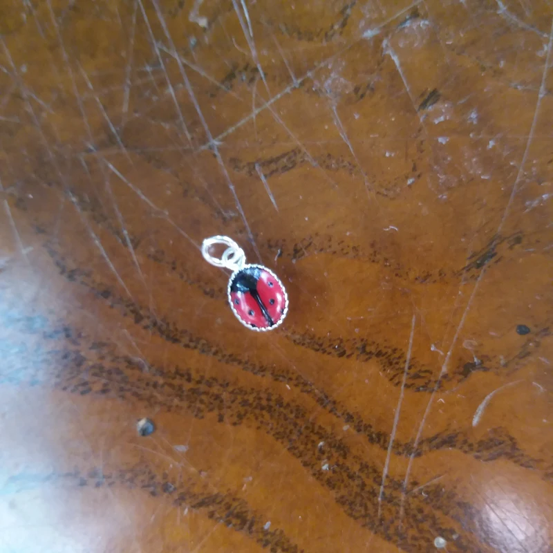 Charms for bracelet or necklace