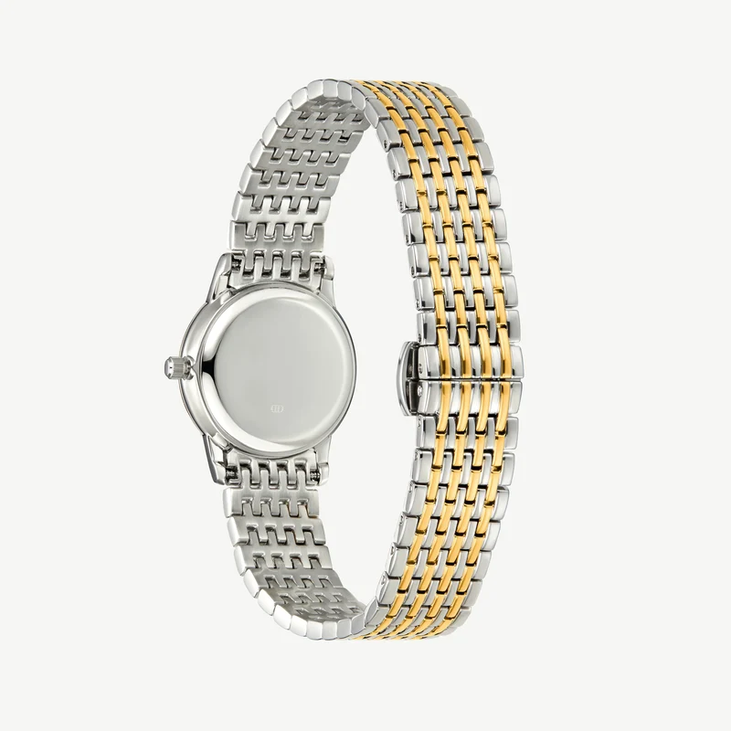 Classic Link Round Bi-Metal Watch