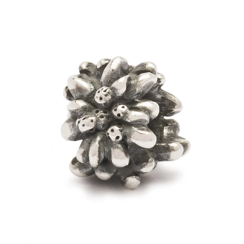 Edelweiss