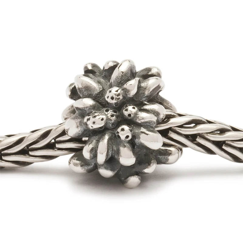 Edelweiss