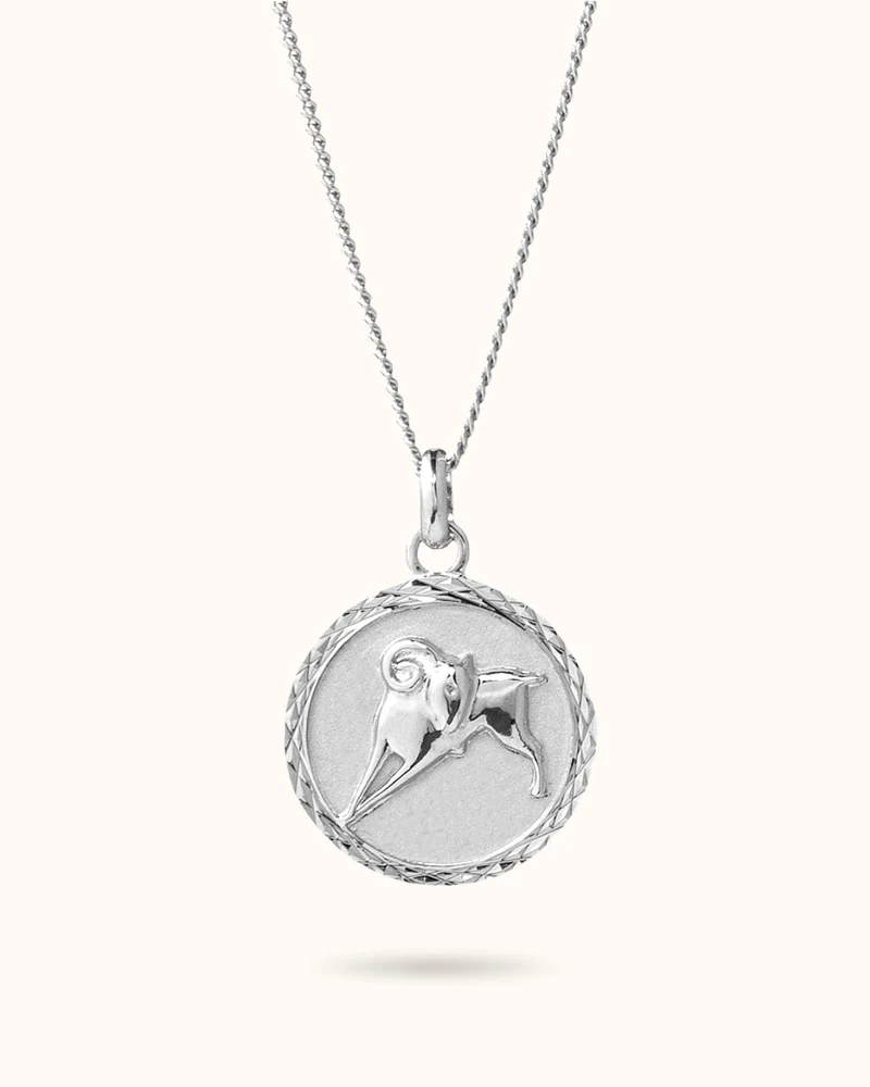 Zodiac Sterrenbeeld Ketting - Zilver - Gepersonaliseerde Ketting
