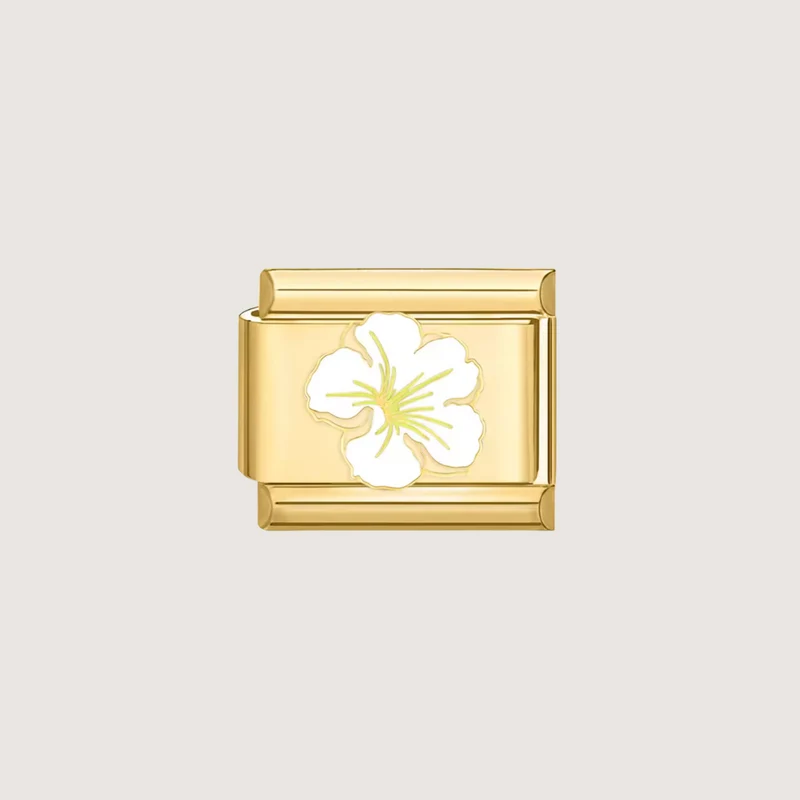 Charm Hibiscus