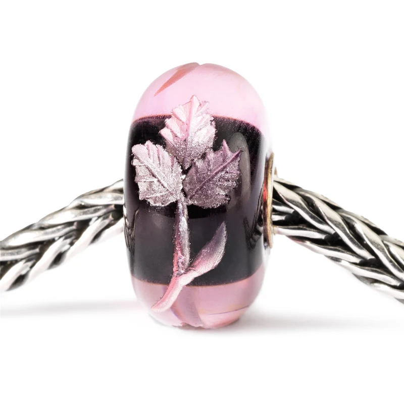 Gravierte Fuchsia