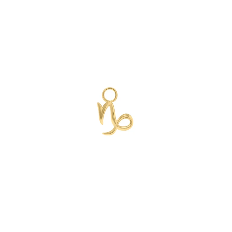 Steinbock Sternzeichen Charm