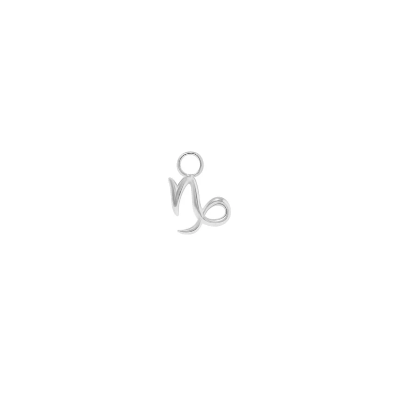 Steinbock Sternzeichen Charm