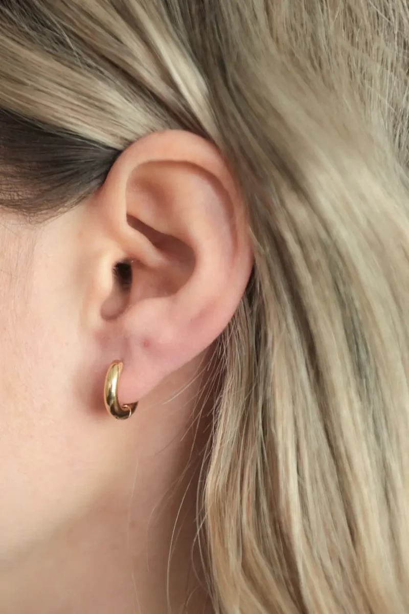 Becca Chubby Hoops Small