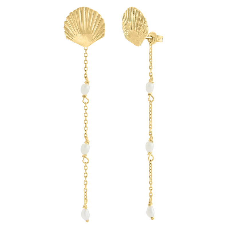 Venus Shell Ohrstecker