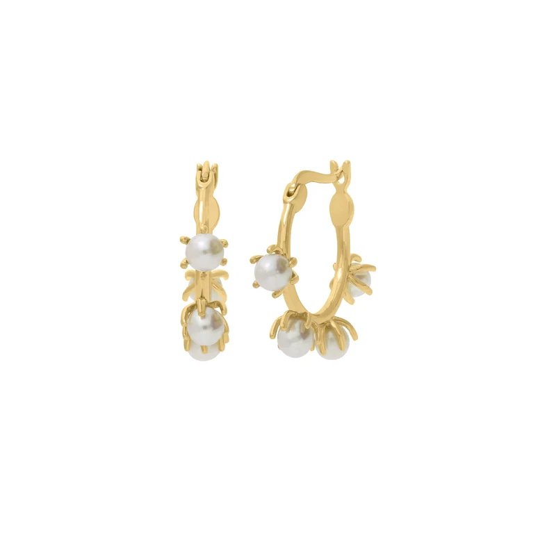 Diana Hoops