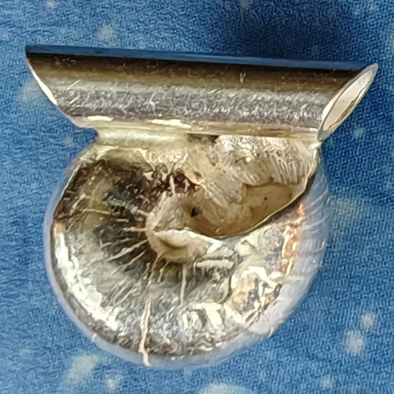 Anhänger Schnecke Schmuck Knopf neu