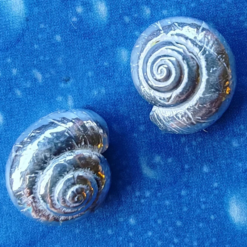 Silber Schnecke Ohrstecker Knopfschnecke