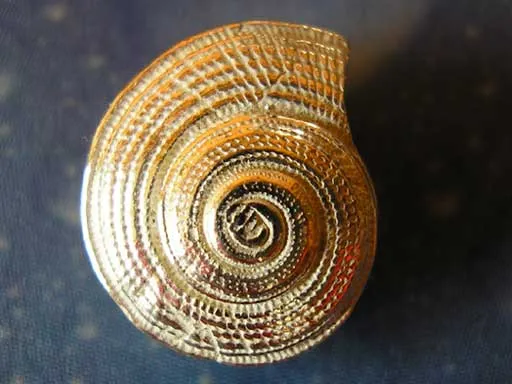Meerjungfrauen Schmuck Strohsonnenuhr Ohrstecker s