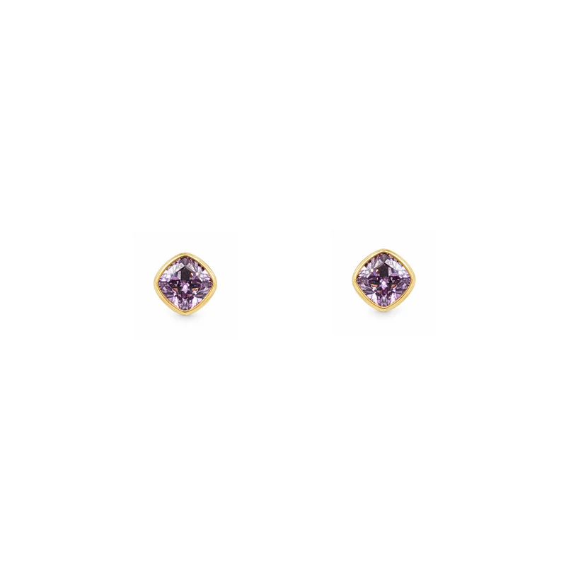 Gold Plated and Amethyst CZ February Birthstone Stud Earrings