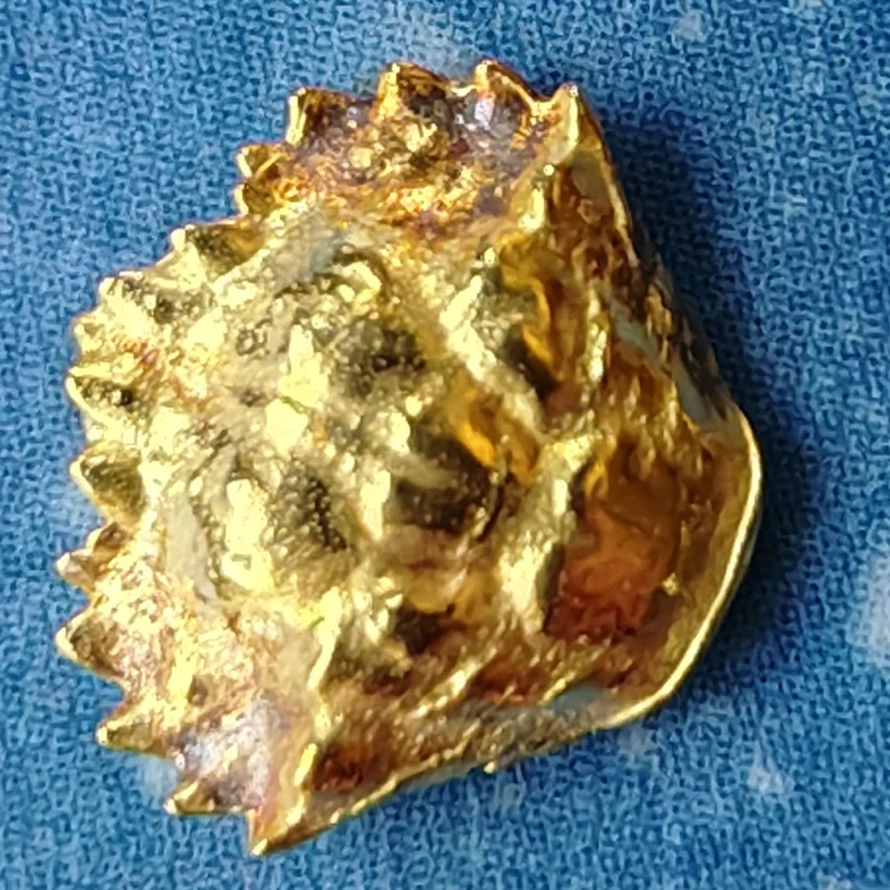 Krebs Krabbe Schmuck Ohrstecker Gold