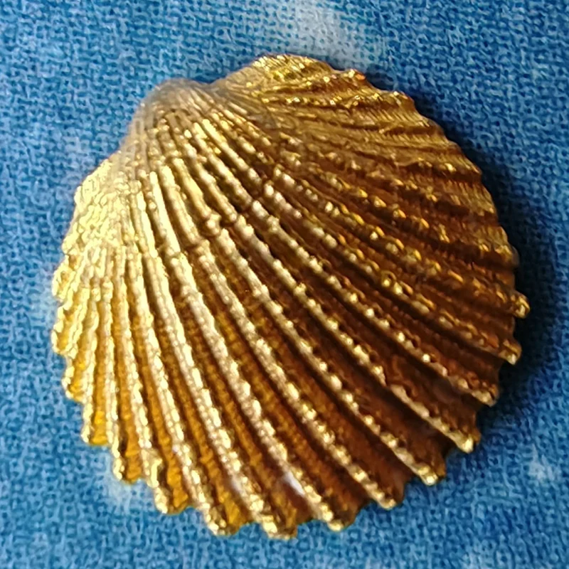 Nordsee Gold Ohrstecker Schmuck Herzmuschel xxs