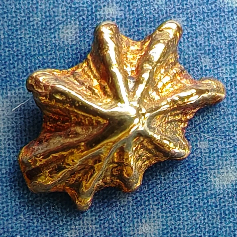Gold Ohrstecker Napf Schnecke