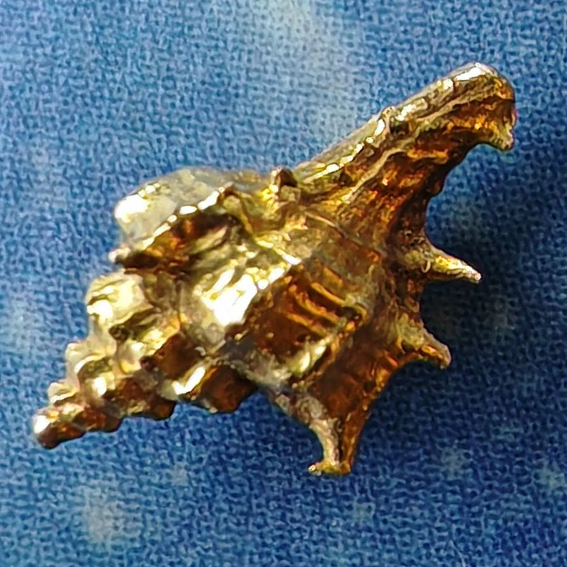Schneckenschmuck Gold Ohrstecker Herkuleskeule xs 18 Karat