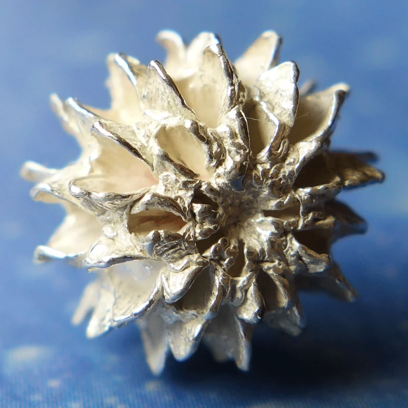 Organischer Schmuck Samen Silber aus.s