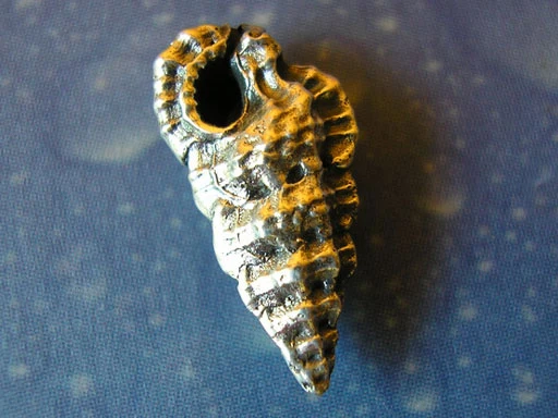 Organischer Schmuck Ahornblatt Ohrstecker xxs