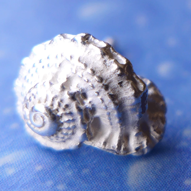 Ohrstecker Schnecke Unbekannte Schönheit