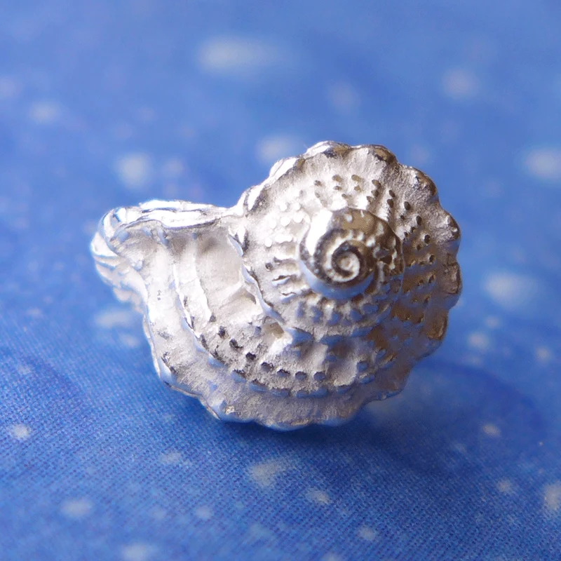 Ohrstecker Schnecke Unbekannte Schönheit