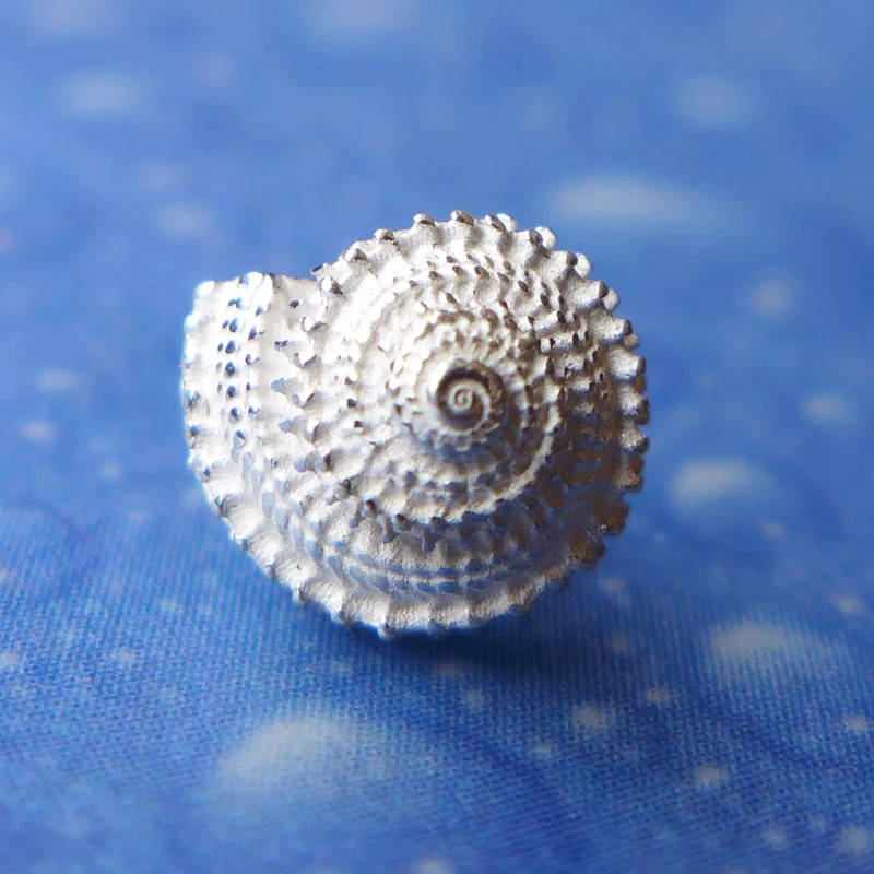 Ohrstecker Schnecke Stachelige Knopf