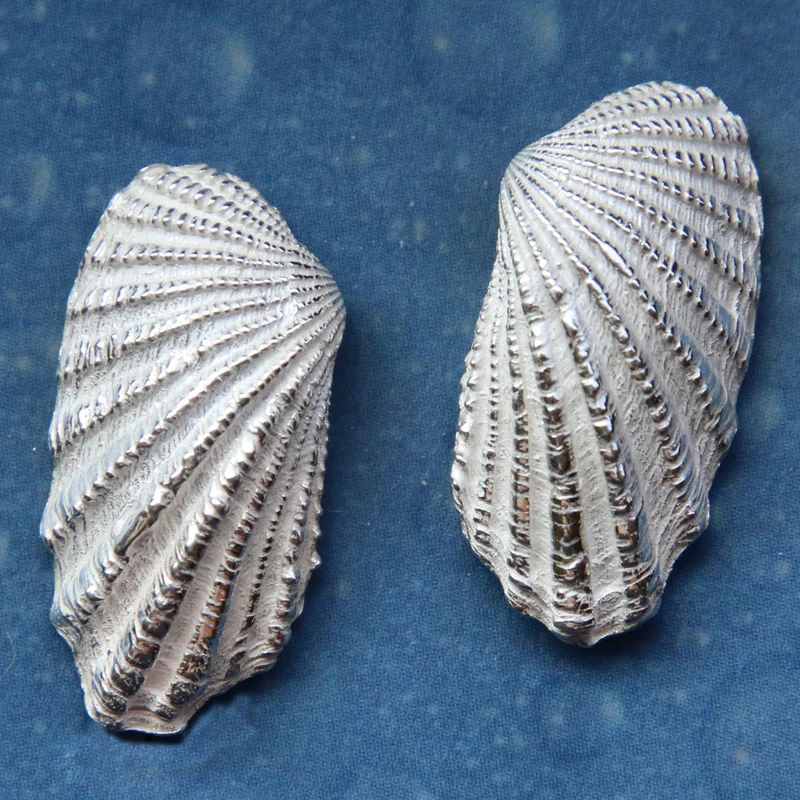 Ohrschmuck Muschel Silber Welle s