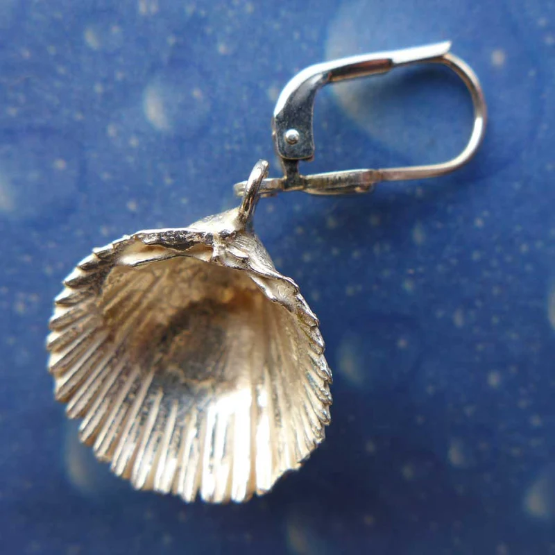 Ohrringe Herzmuschel Silberschmuck