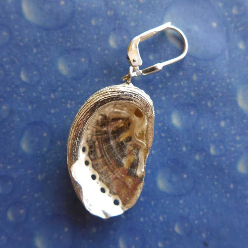 Ohrhänger Abalone Silber Meerohr m
