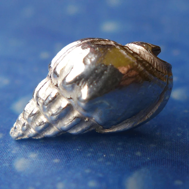 Ocean Schmuckkästchen Ohrstecker