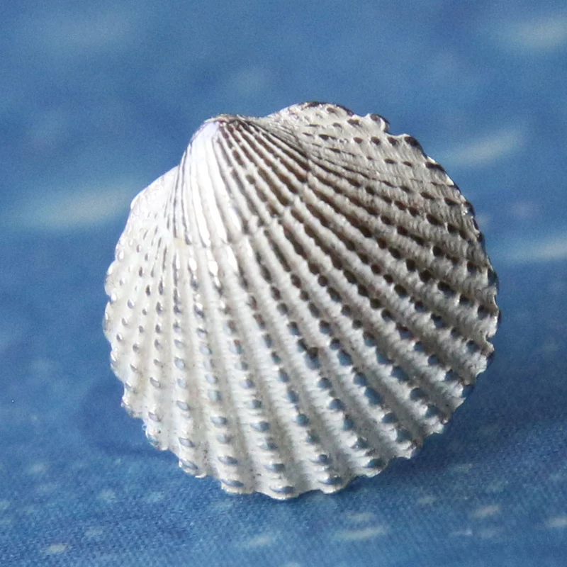 Nordsee Silber Ohrstecker Schmuck Herzmuschel xxs