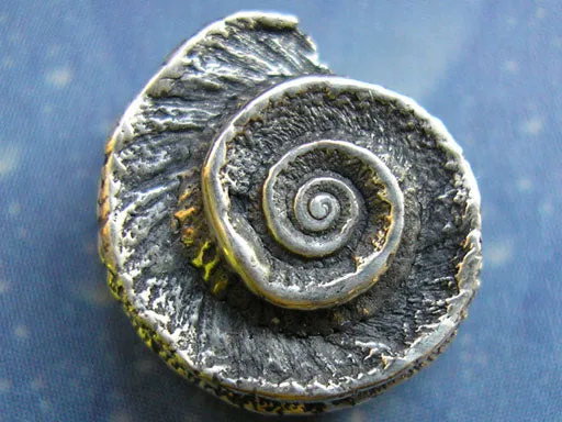 Noble Sonnenuhrschnecke Schmuck online