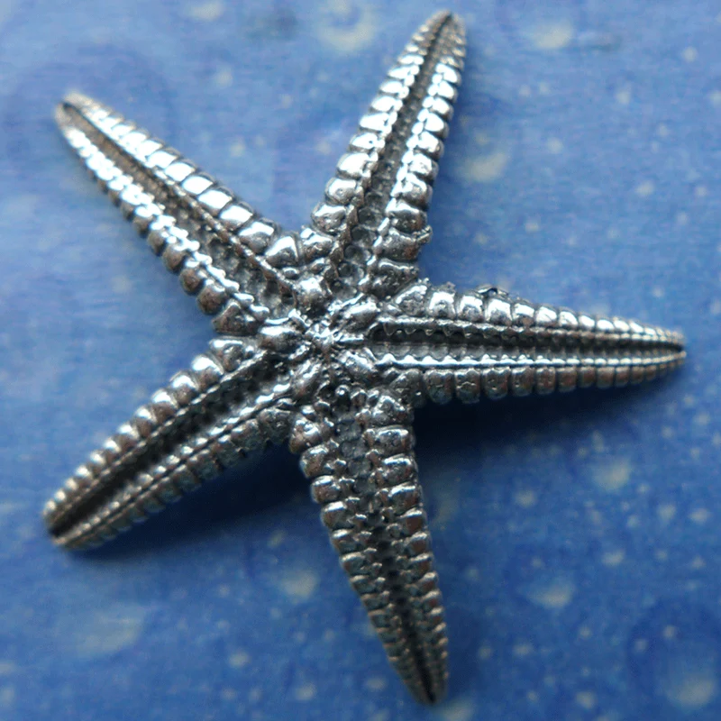 Naturschmuck Seestern Ohrstecker m