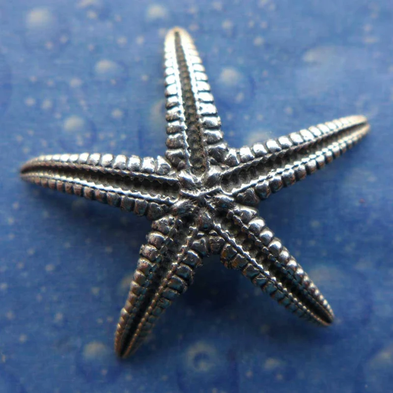 Naturschmuck Seestern Ohrstecker m