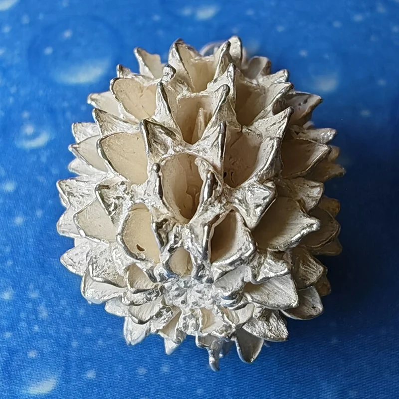 Naturschmuck Same Silber Charm