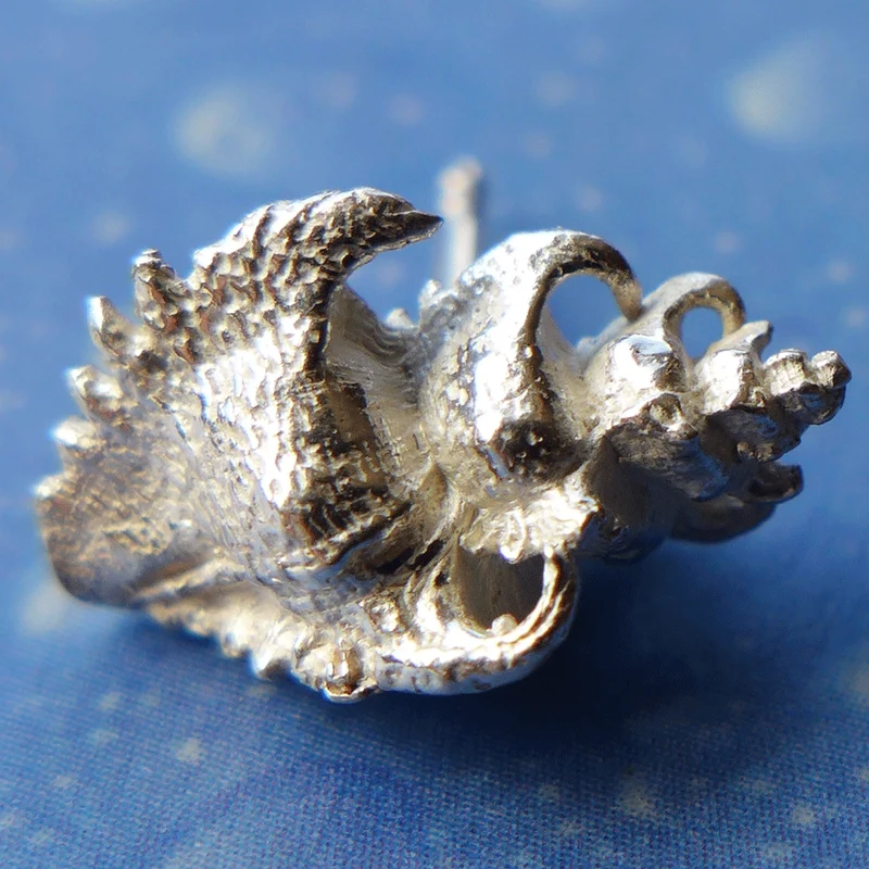 Naturschmuck Haken Schnecke Ohrstecker