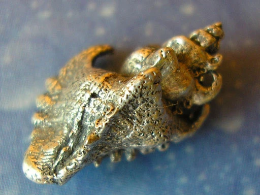 Naturschmuck Haken Schnecke Ohrstecker