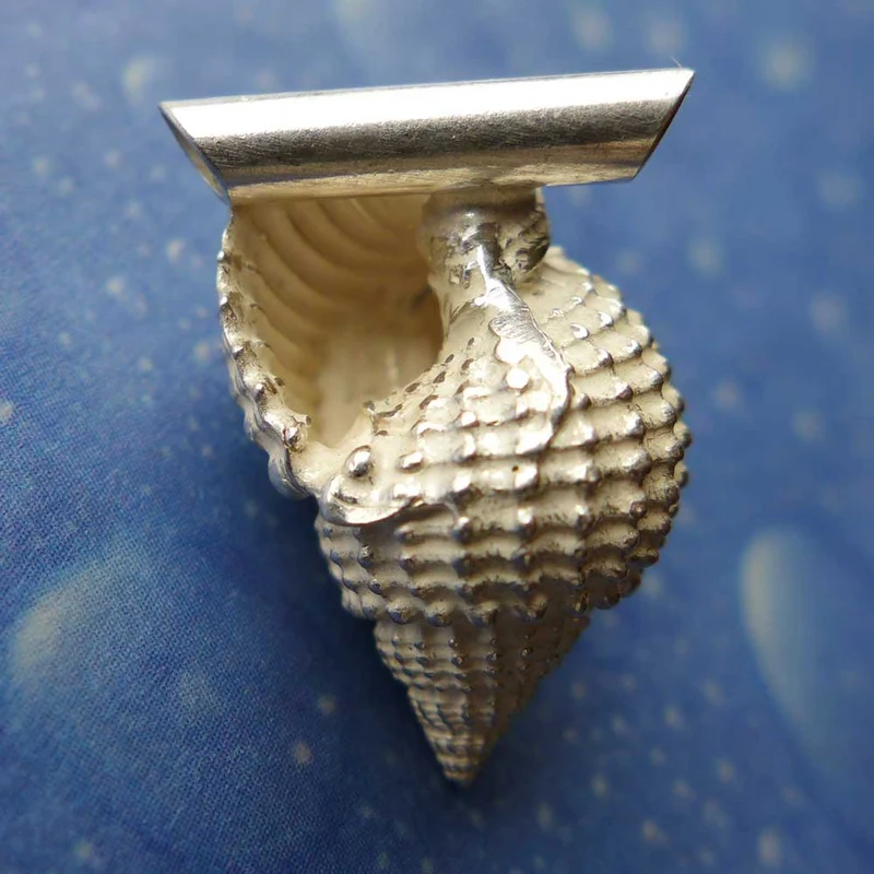 Muskatnuss dick Anhänger Schnecke