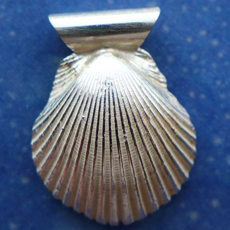 Muschelschmuck Pilgerweg Anhänger xs