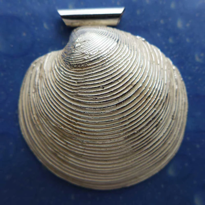 Muschelschmuck Anhänger Silber Lucina