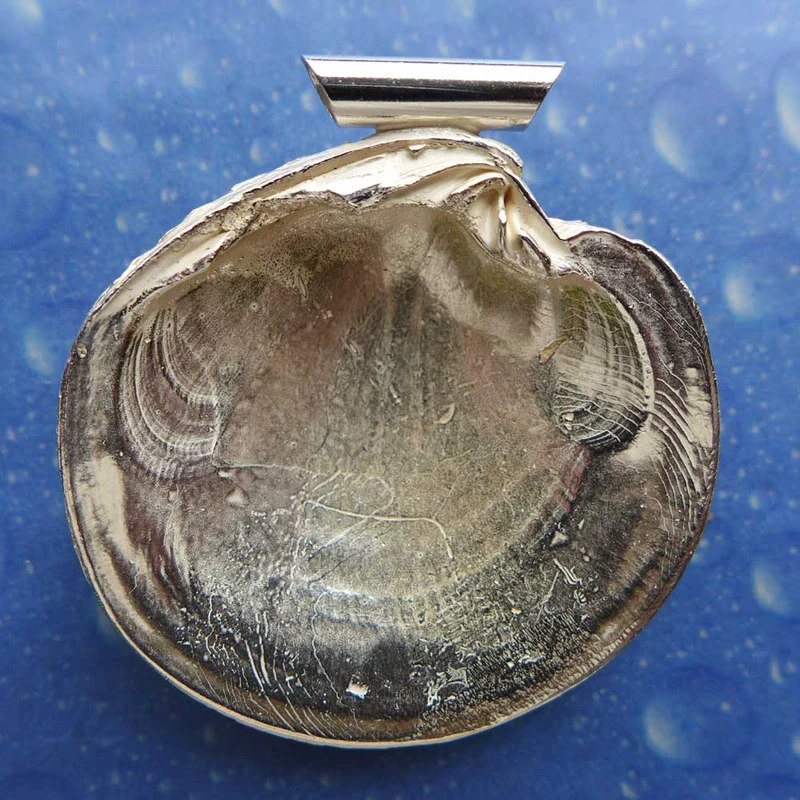 Muschelschmuck Anhänger Silber Lucina