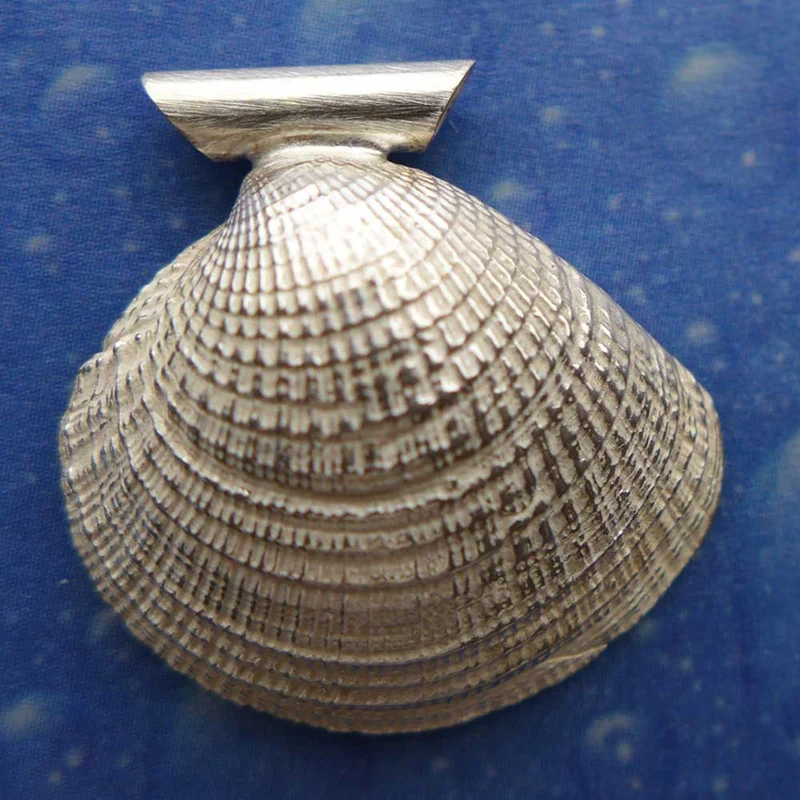 Muschelschmuck Anhänger Lamellenvenus m