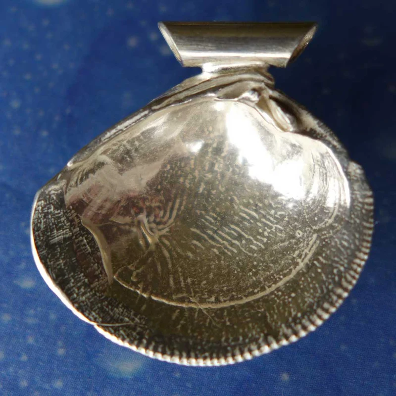 Muschelschmuck Anhänger Lamellenvenus m