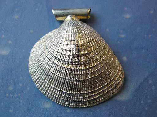 Muschelschmuck Anhänger Lamellenvenus m